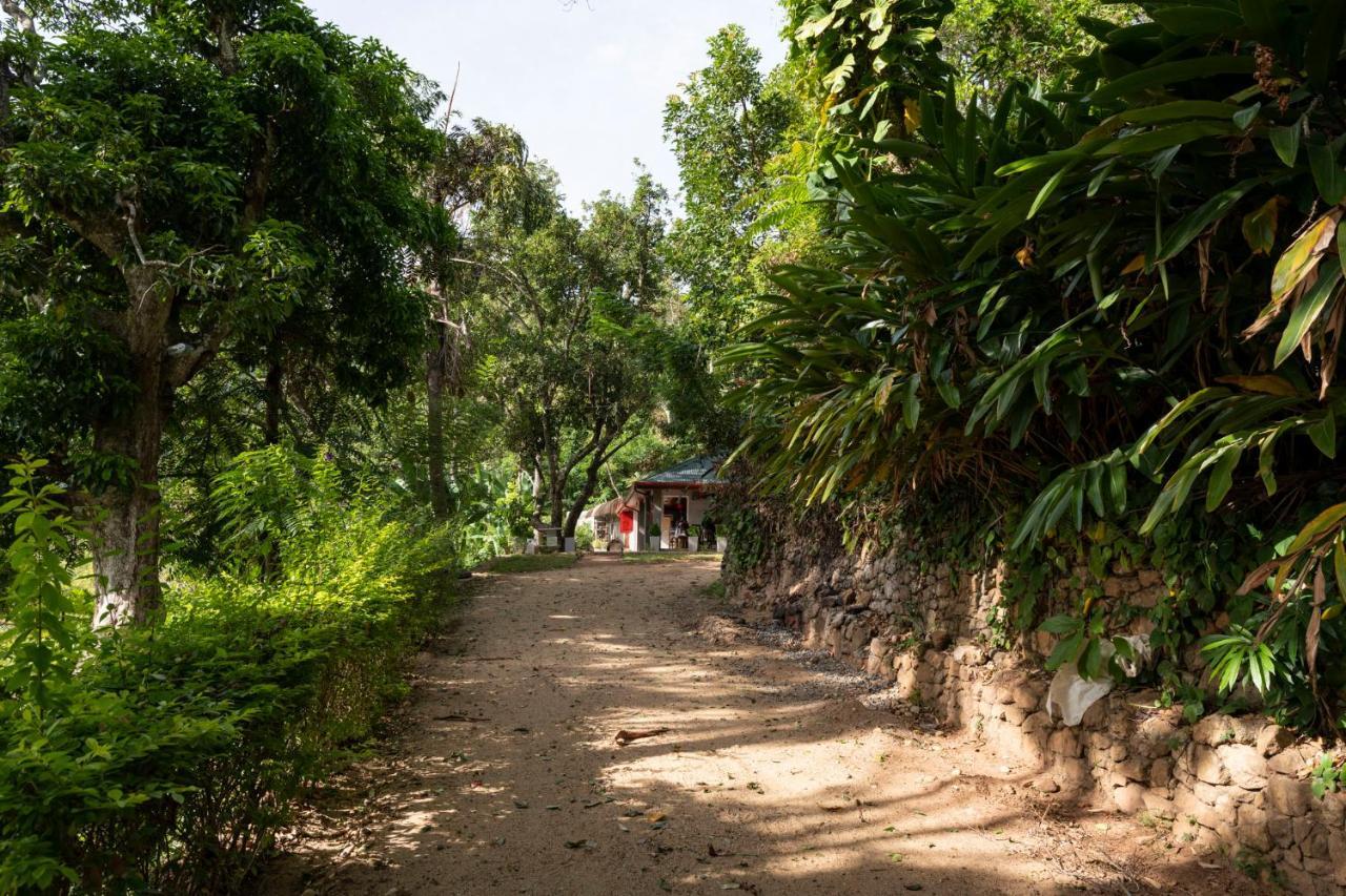 Roseland Cottages Bandarawela Zewnętrze zdjęcie