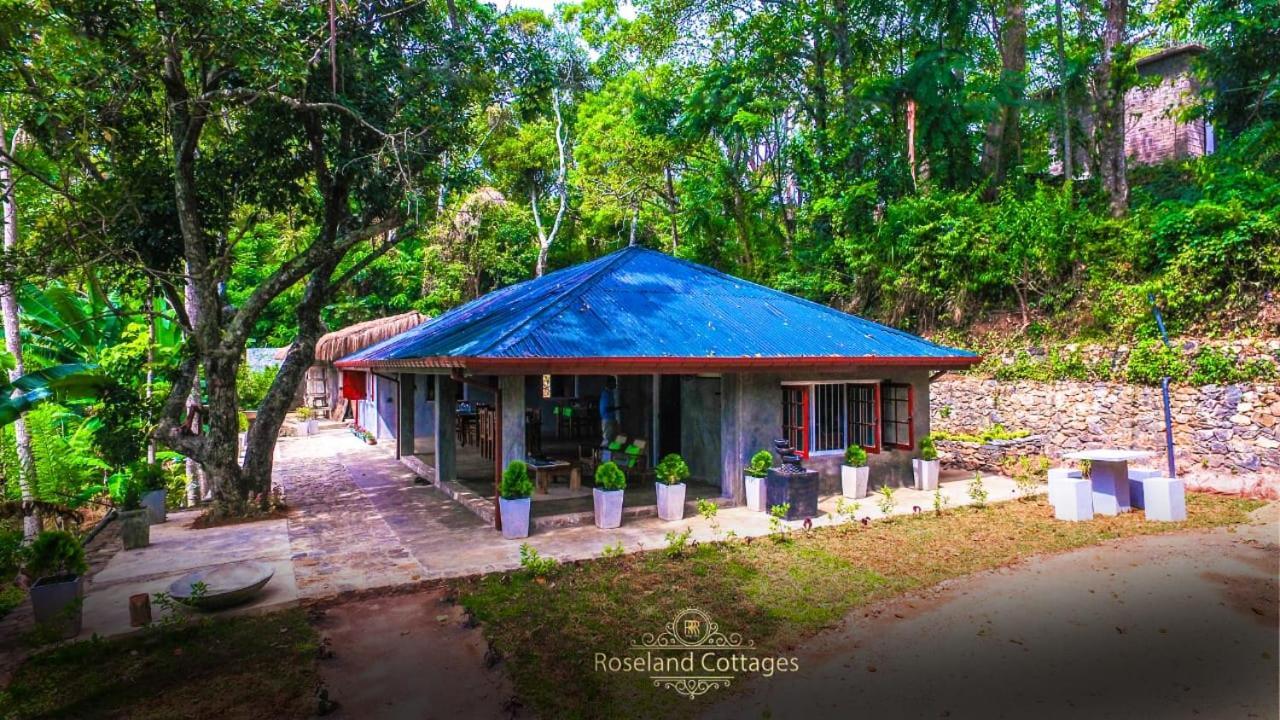Roseland Cottages Bandarawela Zewnętrze zdjęcie