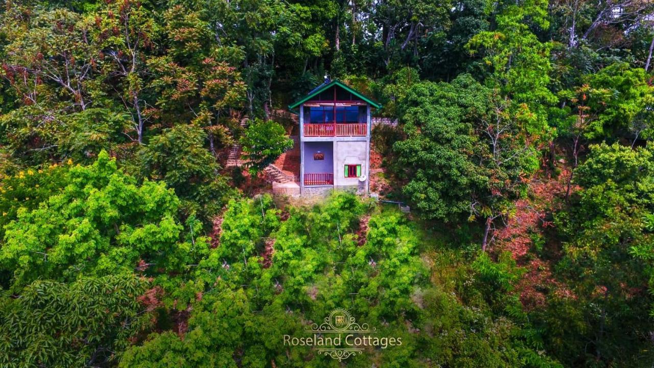 Roseland Cottages Bandarawela Zewnętrze zdjęcie