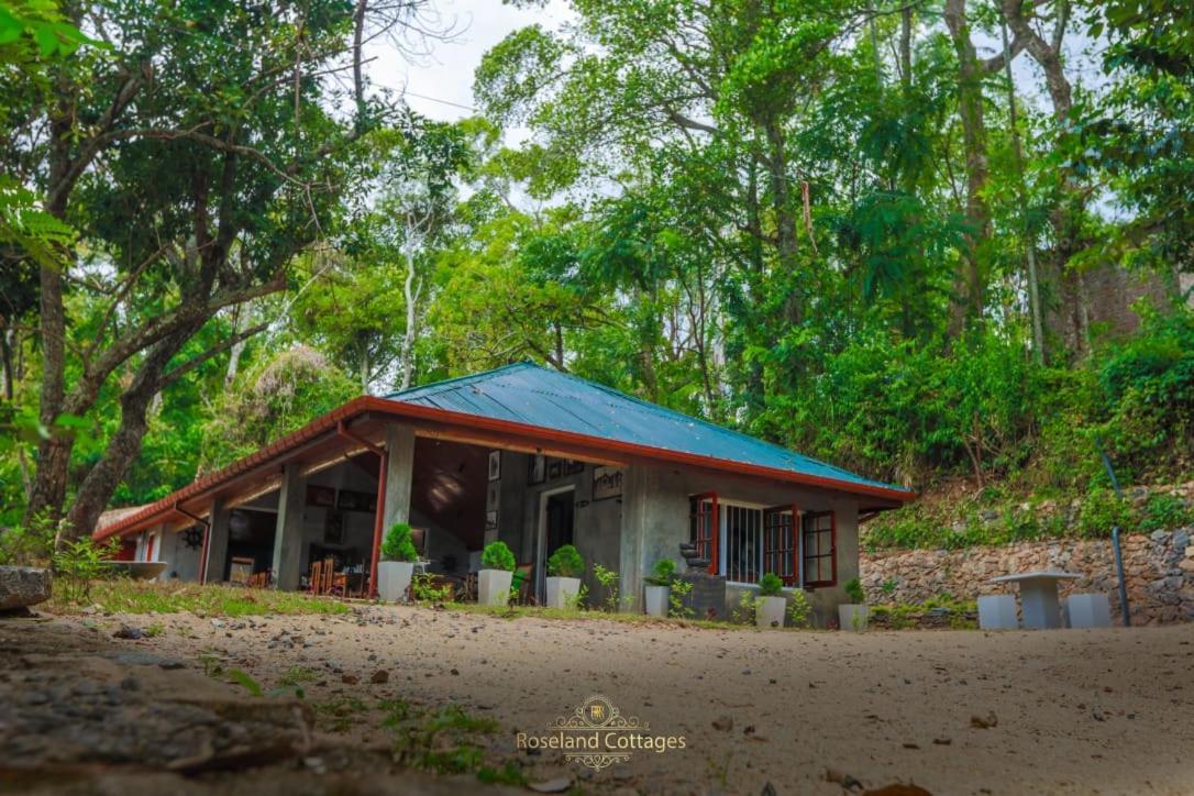Roseland Cottages Bandarawela Zewnętrze zdjęcie