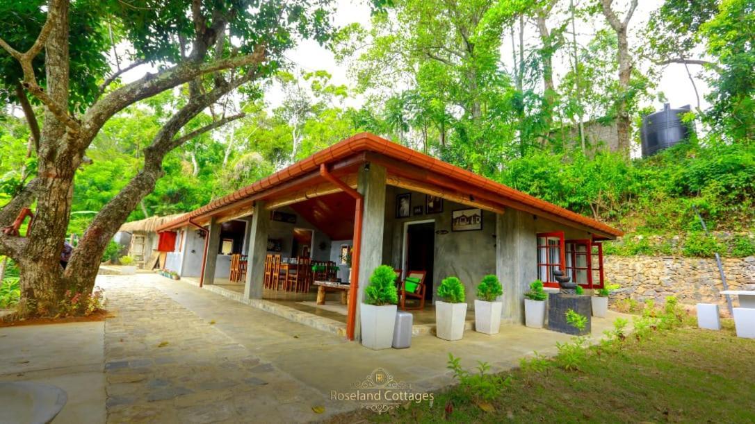 Roseland Cottages Bandarawela Zewnętrze zdjęcie